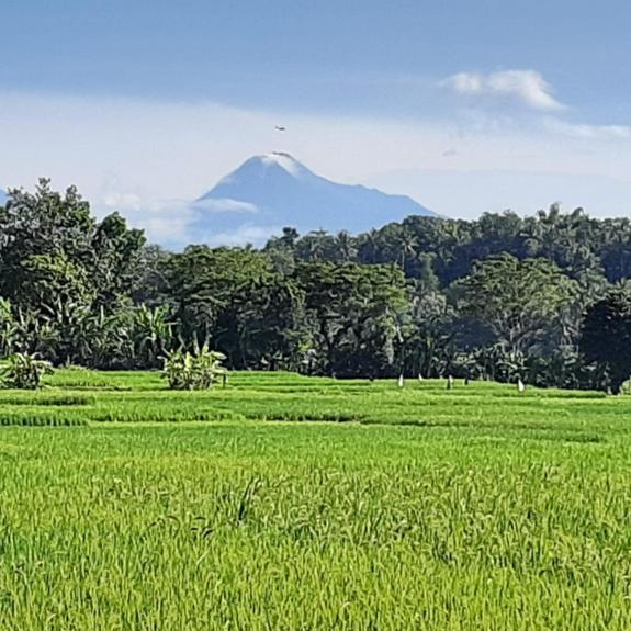 Rumah liburan Rindoe Jogja